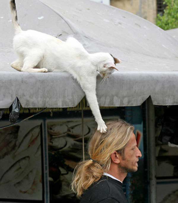 manana etc ��̃y�[�W