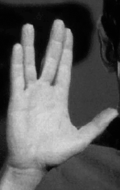 manana manifest/マニャーナ マニフェスト