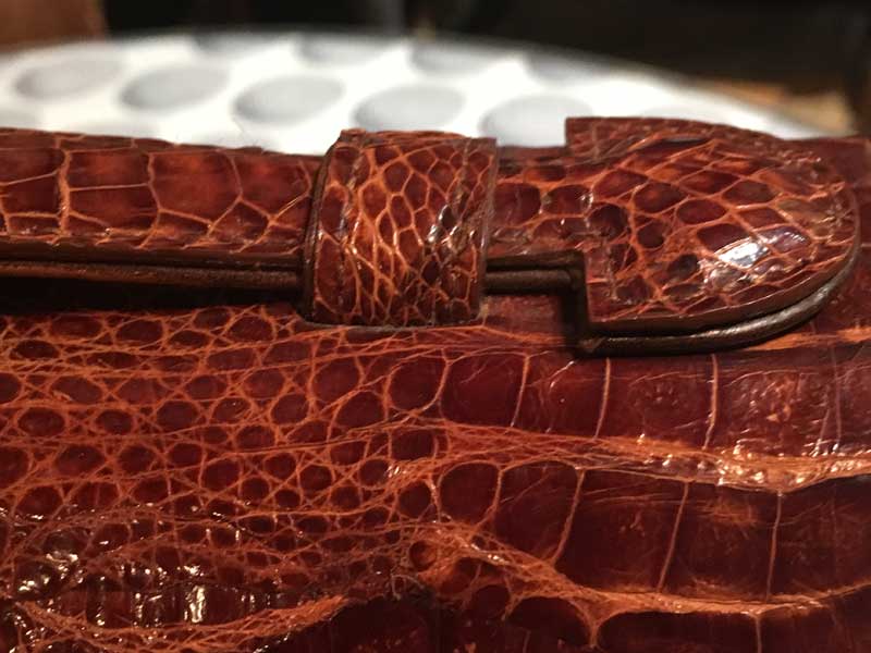 �V�i�@���g�p�@Crocodile �N���R�_�C���A1���v�̃��j�v���̃Z�J���h�o�b�N�A�N���b�`�o�b�O