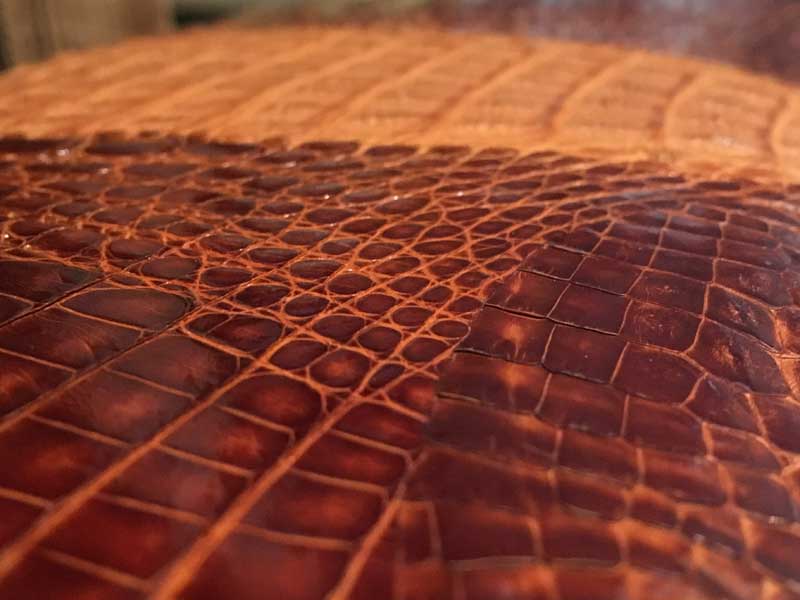 �V�i�@���g�p�@Crocodile �N���R�_�C���A1���v�̃��j�v���̃Z�J���h�o�b�N�A�N���b�`�o�b�O