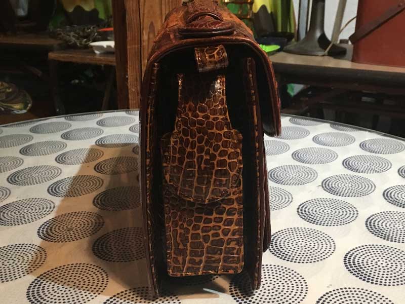 �V�i�@���g�p�@Crocodile �N���R�_�C���A1���v�̃��j�v���̃Z�J���h�o�b�N�A�N���b�`�o�b�O