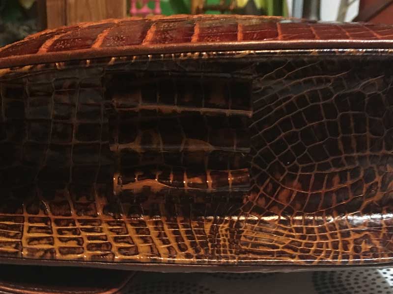 �V�i�@���g�p�@Crocodile �N���R�_�C���A1���v�̃��j�v���̃Z�J���h�o�b�N�A�N���b�`�o�b�O