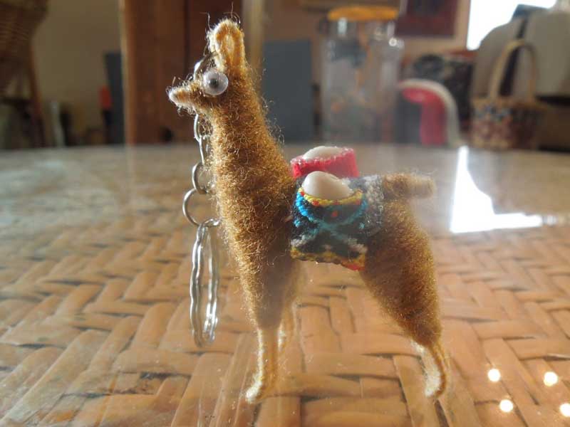 �V�i �y���[�̃����}�H�A���p�J�H�̃L�[�z���_�[