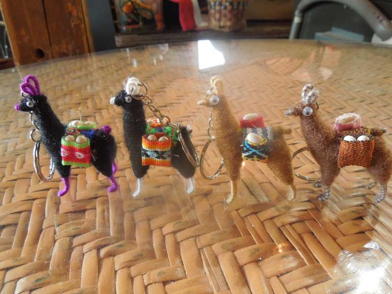 �V�i �y���[�̃����}�H�A���p�J�H�̃L�[�z���_�[