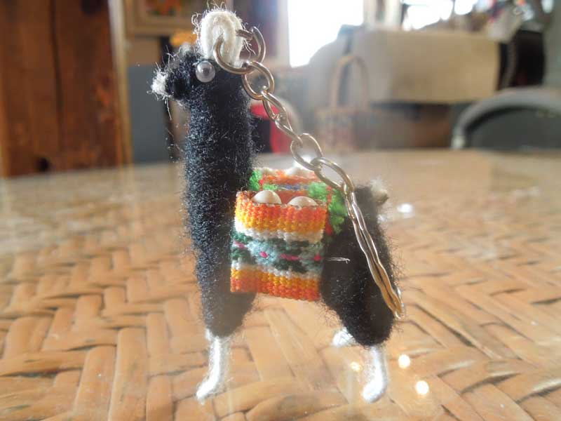 �V�i �y���[�̃����}�H�A���p�J�H�̃L�[�z���_�[