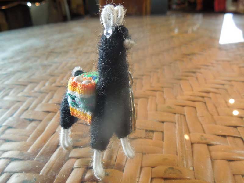 �V�i �y���[�̃����}�H�A���p�J�H�̃L�[�z���_�[