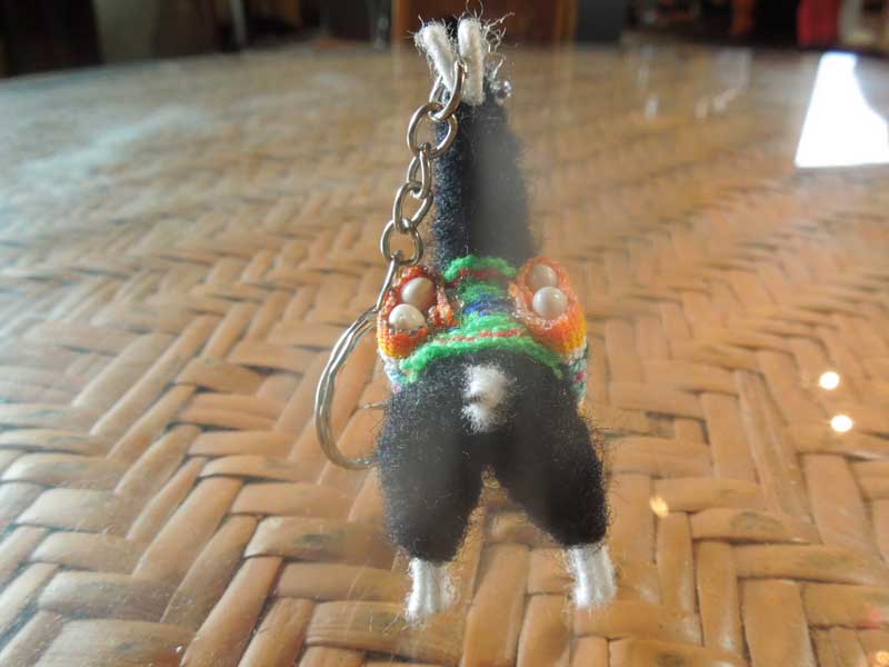 �V�i �y���[�̃����}�H�A���p�J�H�̃L�[�z���_�[