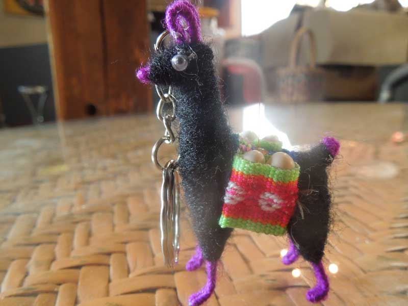 �V�i �y���[�̃����}�H�A���p�J�H�̃L�[�z���_�[