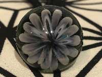 ���e�� �}�z�I �t�@�i �w�A�S�� O-509 Pyrex Glass ���g�p�����A�[�g�K���X�̃A�N�Z�T���[