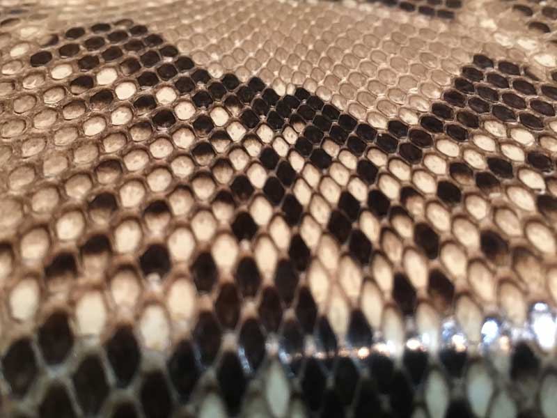 �V�i�@���g�p�@Original Purse Nakamura Python Purse �p�C�\���v �֊v �K�}�����z