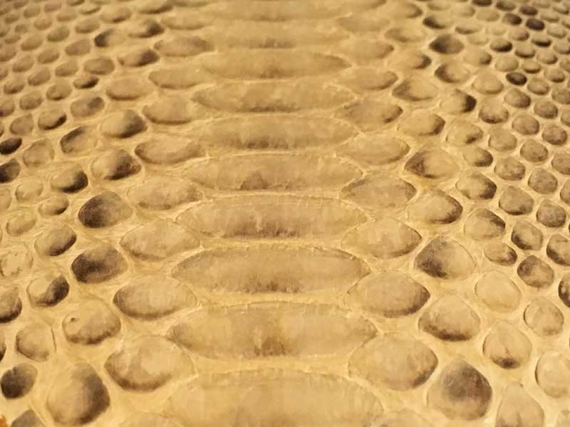 �V�i�@���g�p�@Snake Wallet�A1���v �֊v�̃V���[�g�����b�g �p�C�\���@�܍��z