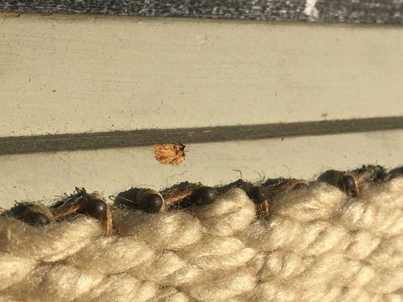 1970's Vintage Used Needle Craft Art/Tree 70�N�� �؂̃��`�[�t�̃j�[�h���E�N���t�g�E�A�[�g 