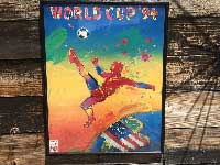 Peter Max/World Cup USA 94 ピーターマックス 94年 アメリカ開催のワーリドカップ 額入り ポスター