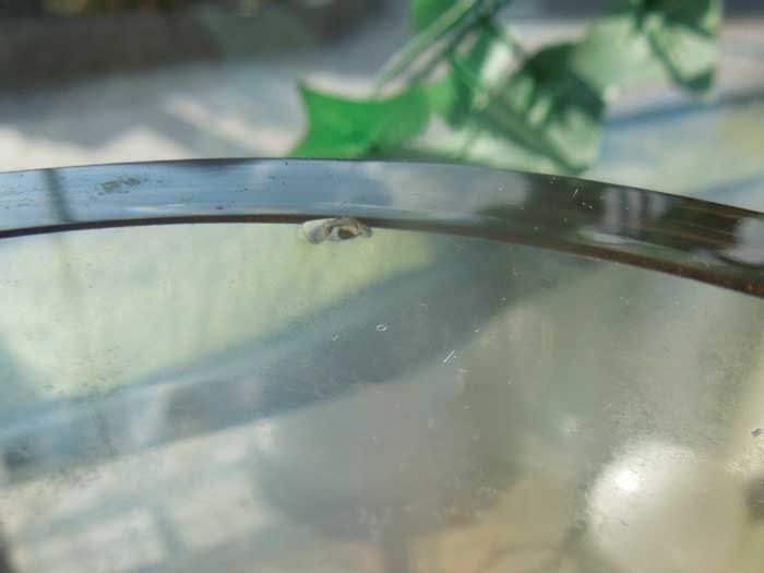 Used Baccarat France Crystal Glass Ashtray/�o�J�� �t�����X �N���X�^���K���X�D�M