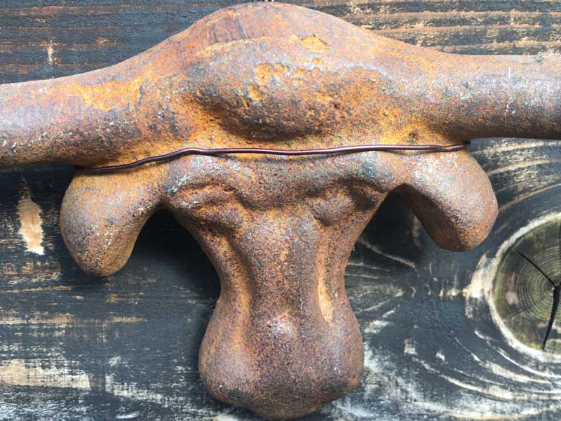 Antique�AVintage Cast Iron Long Horn Bull�A�A���e�B�[�N�@�A�C�A�������̃����O�z�[���̃I�u�W�F