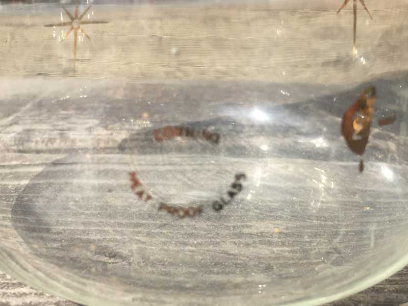 Old PYREX �L�b�`���G�� Corning 6 Cup Carafe �R�[�j���O 6�J�b�v �X�^�[�o�[�X�g���̃J���t�F