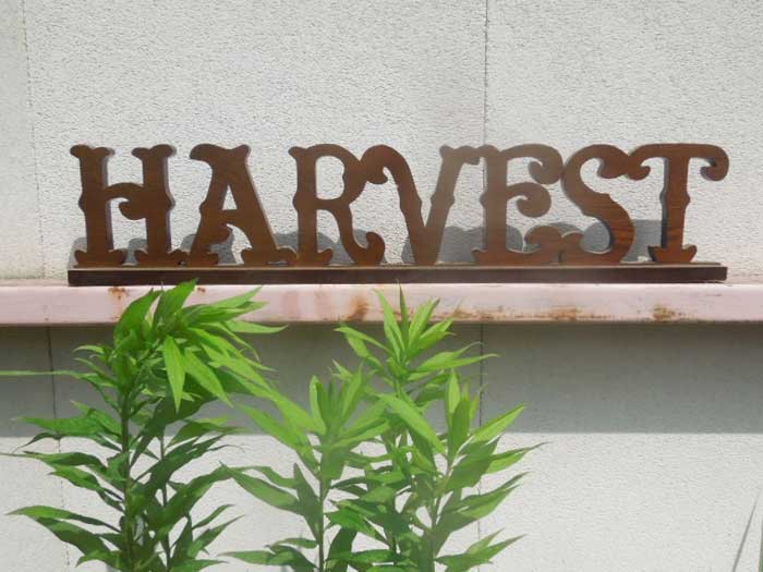 Vintage�AUsed Typography�A�^�C�|�O���t�B�[�G�݁A�ؐ��@HARVEST Typography Sculpture�A�n�[�x�X�g