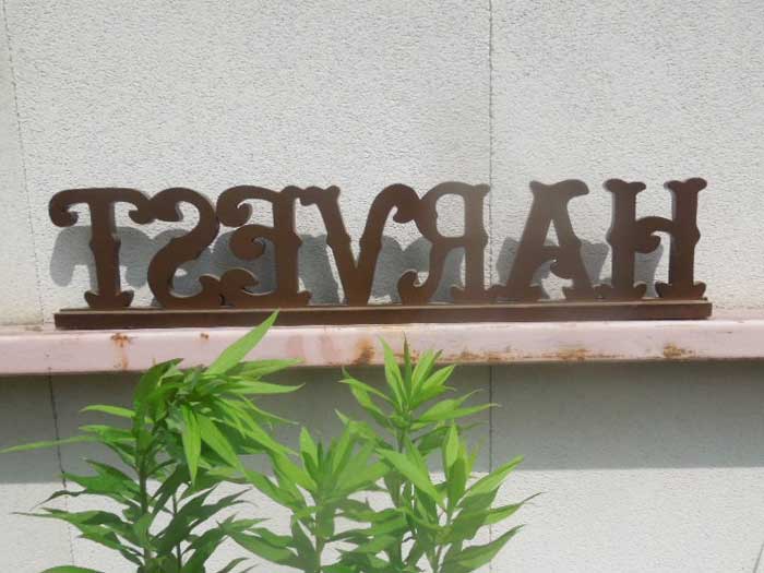 Vintage�AUsed Typography�A�^�C�|�O���t�B�[�G�݁A�ؐ��@HARVEST Typography Sculpture�A�n�[�x�X�g