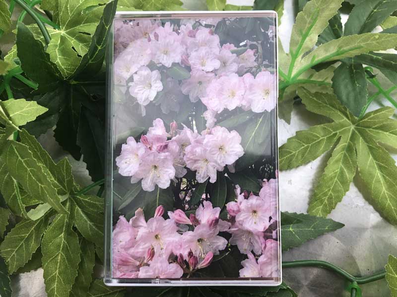 CHAM - DIALOGUE�i�J�Z�b�g�e�[�v & /�_�E�����[�h���Łj�ٌ`�A���r�G���g�����Z�ҏW