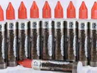 ���{���Y �C�`�S����E�W���[�X�u�����hBERRY CORPS/�x���[�R�[�v�X ESEMILK/�G�Z�~���N 30ml