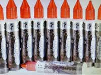 ���{��Vape E���L�b�h �C�`�S����E�W���[�X BERRY CORPS/�x���[�R�[�v�X ESE VANILLA/�G�Z�o�j�� 30m