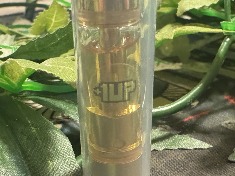 +1UP CBD/Vacances Guava CBG �D�� 1ml �o�J���X �O�@�o �T�e�B�o�D��n�C�u���b�h
