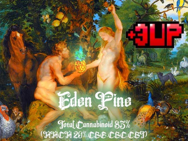 +1UP(�v���X�����A�b�v)CBD/Eden Pine 3up ���l���� HHCH 20% 1ml sative HHCH���L�b�h 