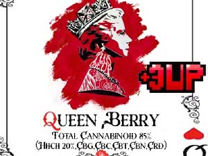 +1UP(vXAbv)CBD/ 3up Queen Berry HHCH 20% 1ml sative HHCHLbh 