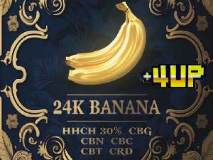 +1UP(�v���X�����A�b�v)CBD/24K BANANA 4up HHCH 30% 1ml hybrid ���l���� HHCH���L�b�h