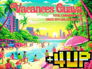 +1UP(�v���X�����A�b�v)CBD/4up Vacances Guava HHCH 30% 1ml �T�e�B�o ���l���� HHCH���L�b�h