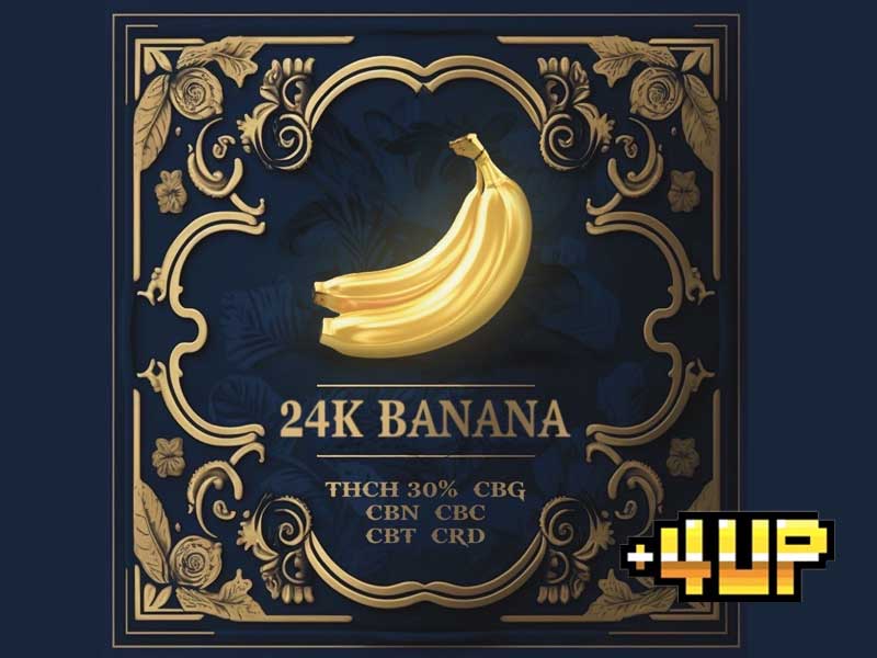 +1UP(�v���X�����A�b�v)CBD/24K BANANA 4up 30% 1ml hybrid ���l���� THCH���L�b�h