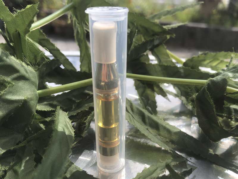 +1UP(�v���X�����A�b�v)CBD/Queen Berry 2up 10% hybrid �o���Ҍ��� THCH���L�b�h