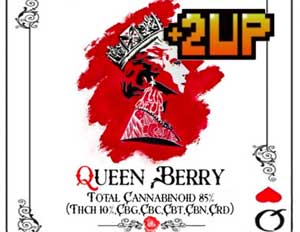 +1UP(�v���X�����A�b�v)CBD/Queen Berry 2up 10% hybrid �o���Ҍ��� THCH���L�b�h