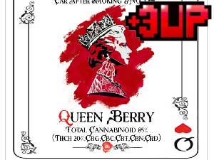 +1UP(vXAbv)CBD/Queen Berry 3up 20% hybrid l THCHLbh