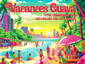 +1UP CBD/Vacances Guava CBG D 1ml oJX O@o TeBoDnCubh