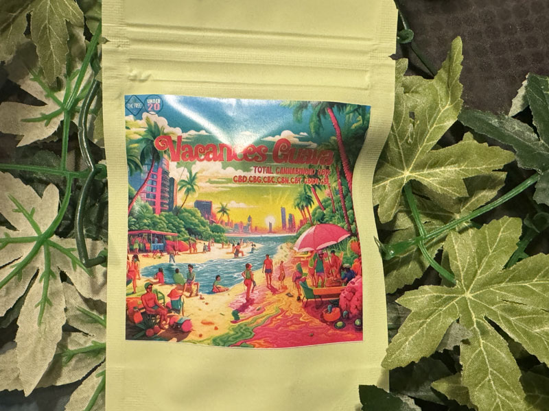 +1UP CBD/Vacances Guava CBG �D�� 1ml �o�J���X �O�@�o �T�e�B�o�D��n�C�u���b�h