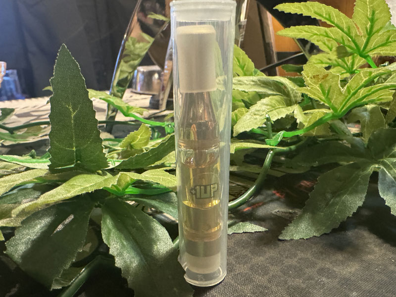 +1UP CBD/Vacances Guava CBG �D�� 1ml �o�J���X �O�@�o �T�e�B�o�D��n�C�u���b�h