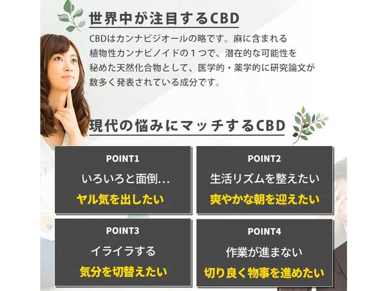 CBDfx CBD VAPE PEN �e���y���z�� �׃C�v�y�� CBD 25% /2ml CBD500mg�A�����^�у`���V�[�V��