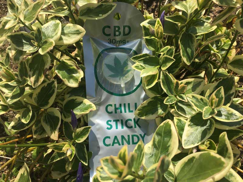 CBD Lollipop CBD 30mg CBD �J���i�r�W�I�[�� �����|�b�v �X�e�B�b�N�L�����f�B
