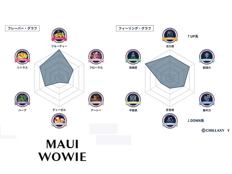CHILLAXY HHC Liquid 510 Cartridge 1ml HHC�z�� �g�[�^���J���i�r�m�C�h 50% HHC�ACBD�ACBN