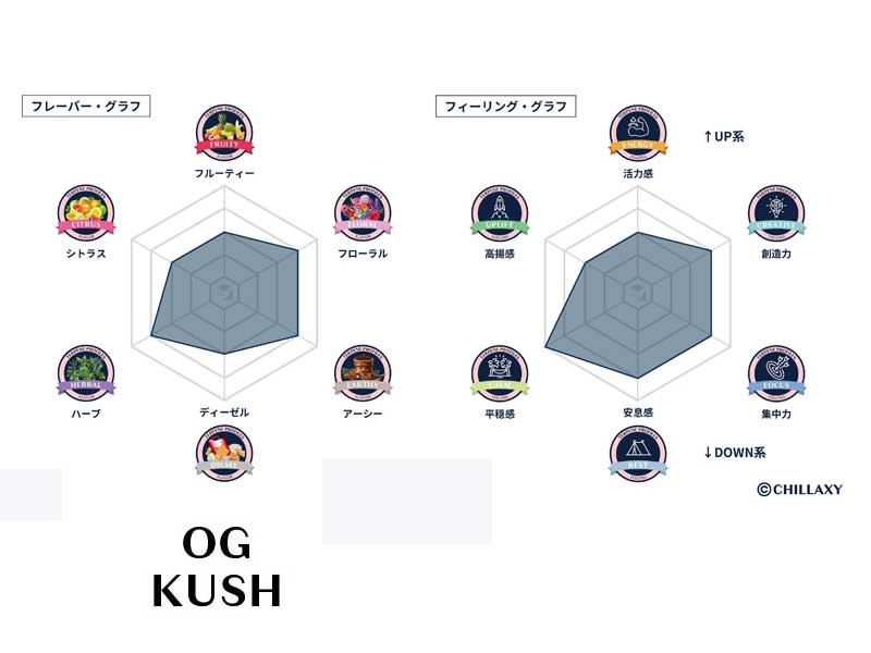 CHILLAXY HHC Liquid 510 Cartridge 1ml HHC�z�� �g�[�^���J���i�r�m�C�h 50% HHC�ACBD�ACBN