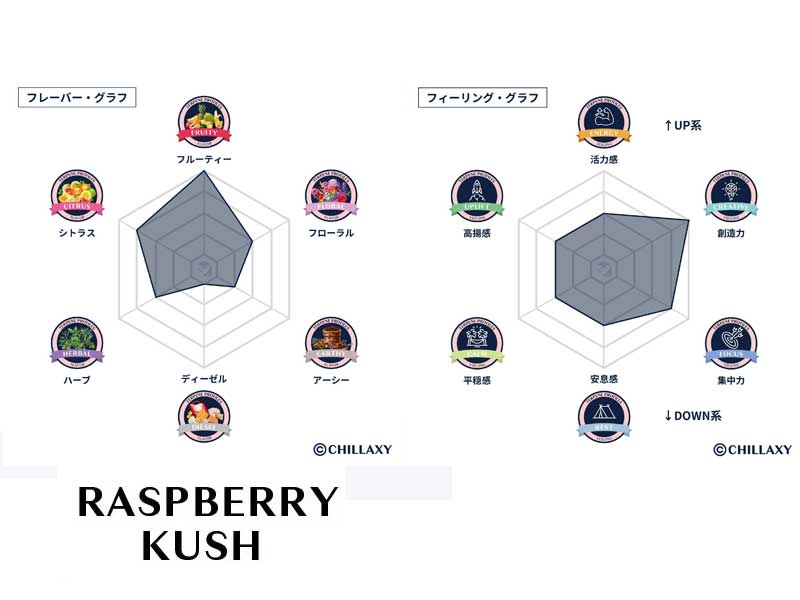 CHILLAXY HHC Liquid 510 Cartridge 1ml HHC�z�� �g�[�^���J���i�r�m�C�h 50% HHC�ACBD�ACBN