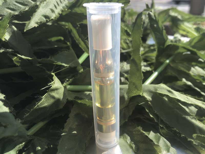 Creams CBD/Baby Cherry& Berry CBN�ACBN�D��20% Total 85% CBN���L�b�h