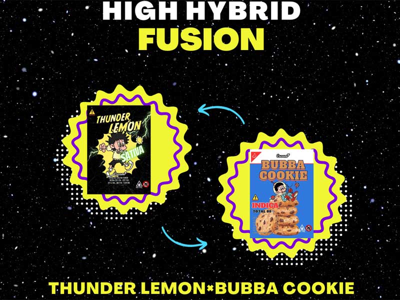 Creams CBD/THUNDER LEMON HHCH20% 1ml�ASATIVA�D�����L�b�h1ml HHCH���L�b�h