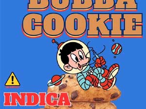 Creams CBD/BUBBA COOKIE HHCH20% 1ml�AIndica �o�o�N�b�L�[ HHCH���L�b�h