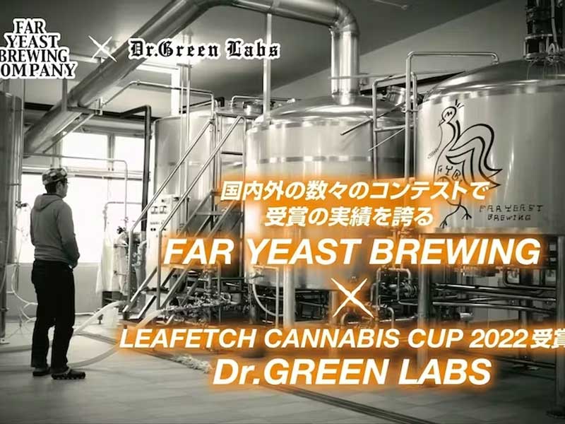 Dr.GREEN LABS x クラフトビールの専門集団『スペントグレイン』Gold Chillin’ OG KUSH IPA 350ml缶