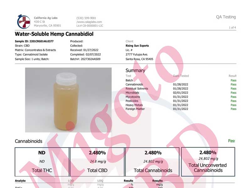 Dr.GREEN LABS x �N���t�g�r�[���̐��W�c�w�X�y���g�O���C���xGold Chillin�f OG KUSH IPA 350ml��