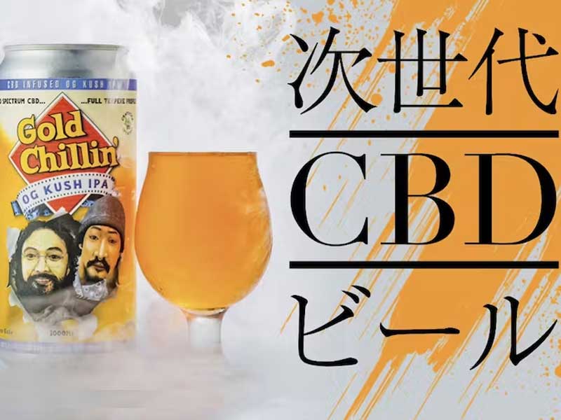 Dr.GREEN LABS x �N���t�g�r�[���̐��W�c�w�X�y���g�O���C���xGold Chillin�f OG KUSH IPA 350ml��