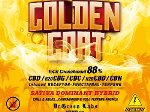 Dr.Green Labs/CBD LIQUID/GOLDEN GOAT 1ml �A���Z�v�^�[�@�\���e���y�� SATIVA�D�� HYBRID