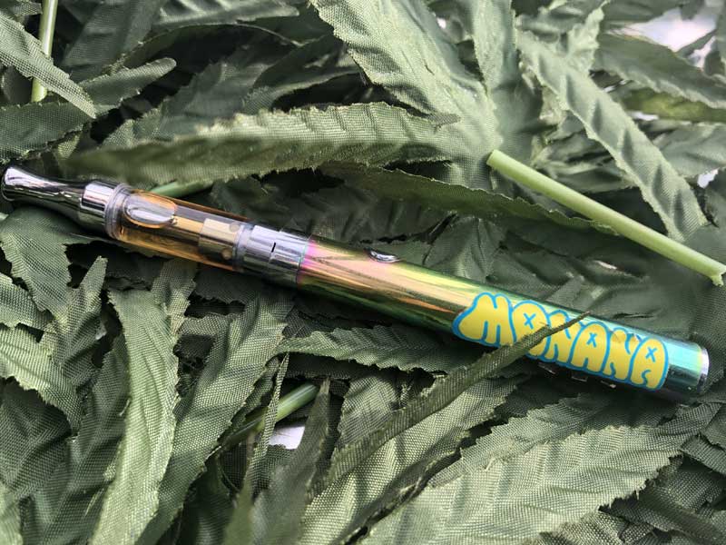 Dr.Green Labs/CBD�u���[�h�X�y�N�g���� CBD���L�b�h ISLAND SWEET SKUNK 50%�A1ml�A�X�J���N